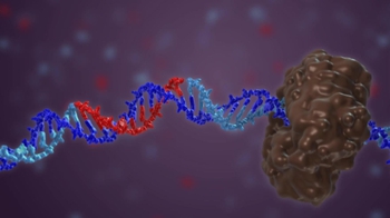 BioFlix: Synthesis of the Lagging Strand