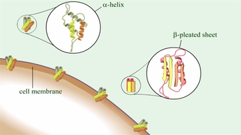 Animation: Prions: Characteristics