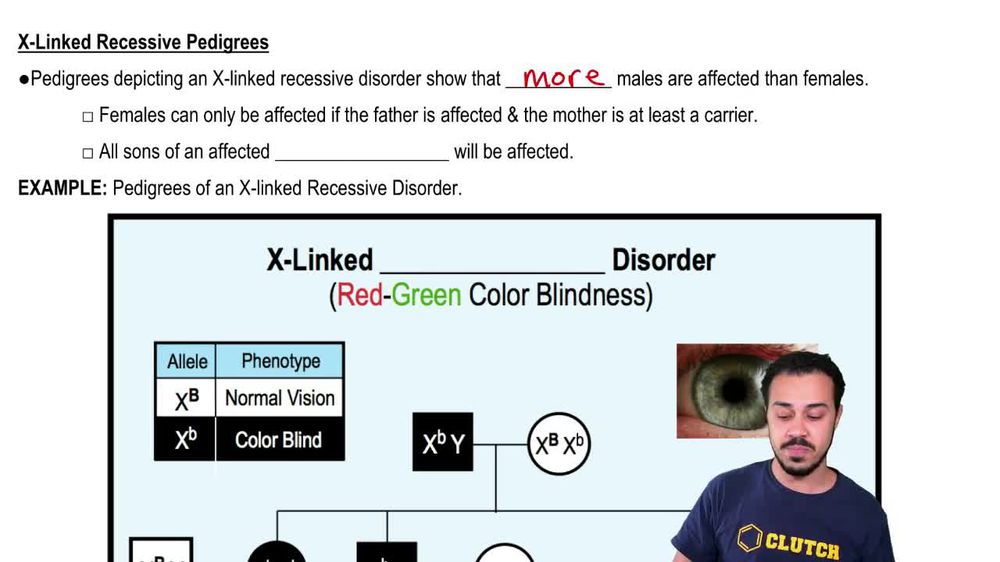X-Linked Recessive Pedigrees