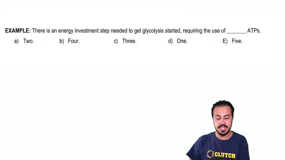 Glycolysis Example 1