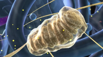 BioFlix: Mitochondria
