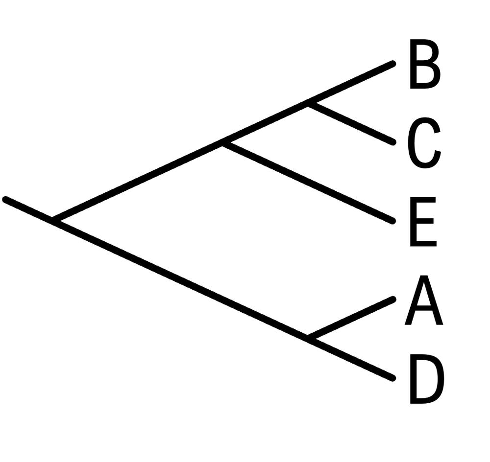 Phylogenetic tree showing species B, C, E, A, D with a unique branching structure.