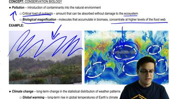 Pollution and Climate Change