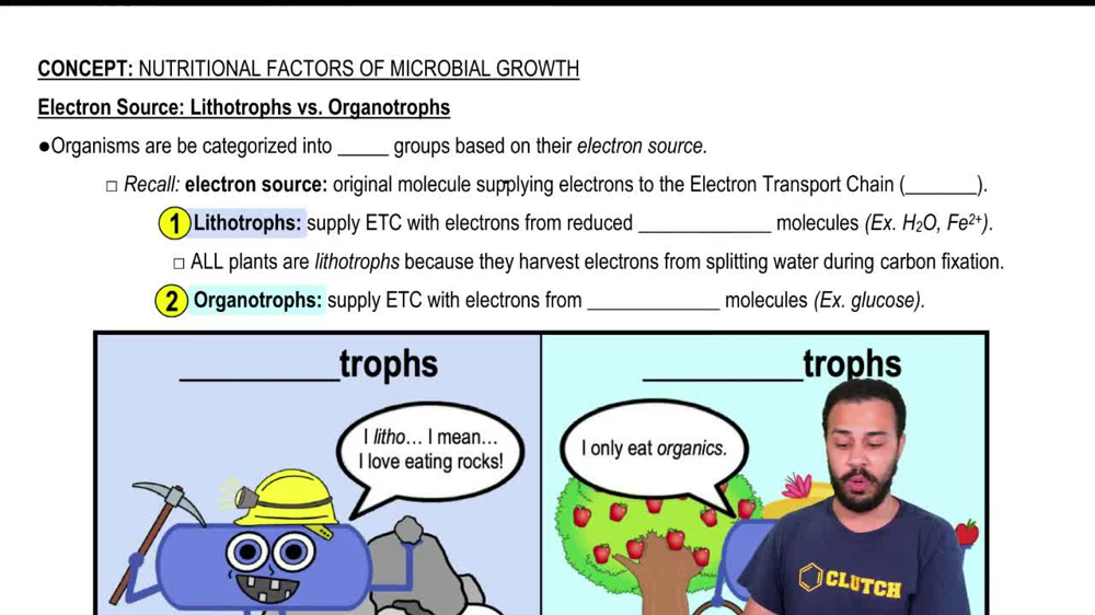 Electron Source: Lithotrophs vs. Organotrophs