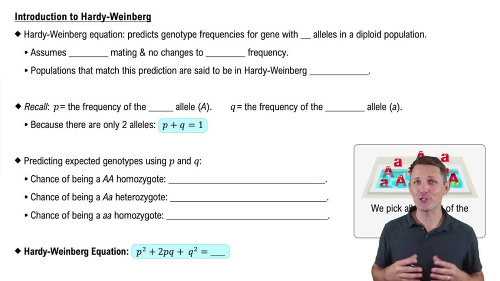 Introduction to Hardy-Weinberg