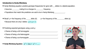 Introduction to Hardy-Weinberg