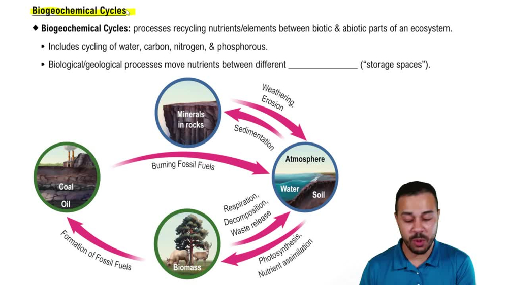 Introduction to Biogeochemical Cycles
