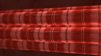 BioFlix: Actin and myosin in muscle contraction