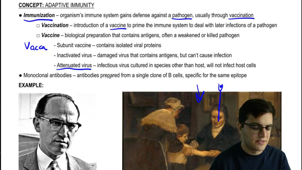 Immunization and Autoimmunity