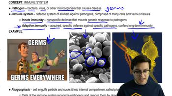 Immune System