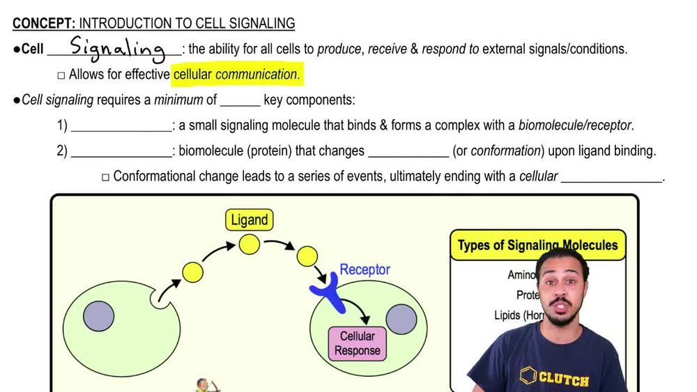 Introduction to Cell Signaling