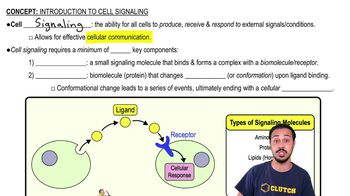 Introduction to Cell Signaling
