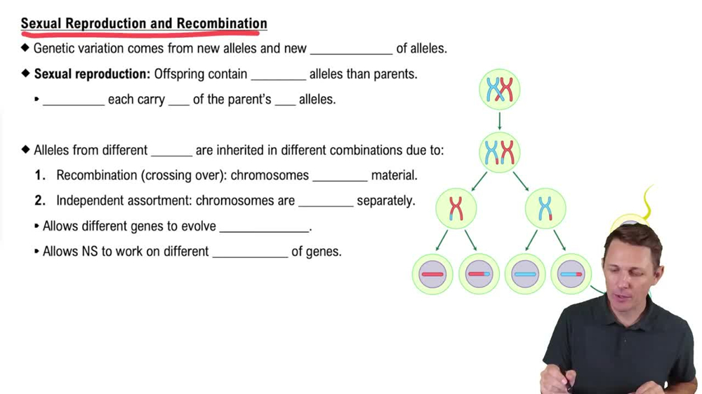 Sexual Reproduction and Recombination