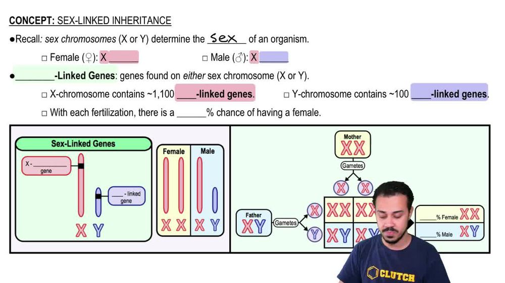Sex-Linked Inheritance
