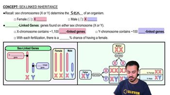 Sex-Linked Inheritance