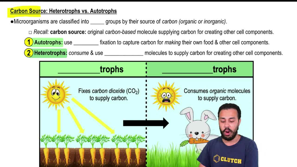 Carbon Source: Heterotrophs vs. Autotrophs
