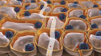 BioFlix: From Soil Into Roots