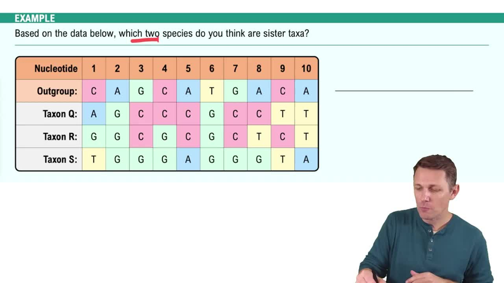 Building Phylogenetic Trees Example 2