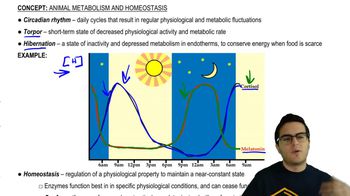 Homeostasis
