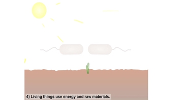 Animation: Signs of Life