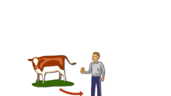 Animation: Energy Flow and Chemical Cycling