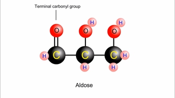 Animation: Monosaccharides