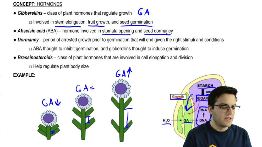 Plant Hormones and Senescence