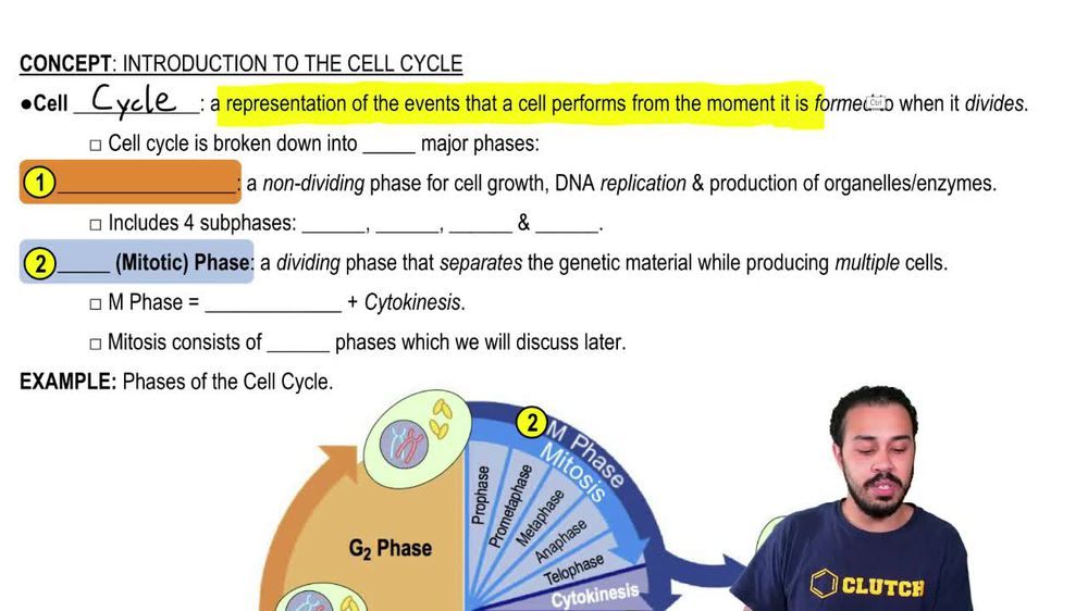 Introduction to the Cell Cycle