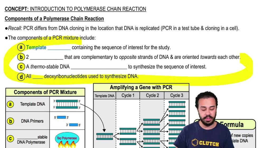 Components of a Polymerase Chain Reaction