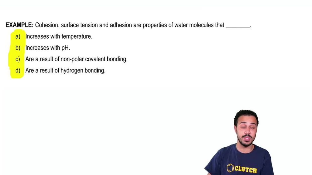 Properties of Water- Cohesion and Adhesion Example 1