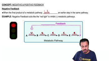 Negative Feedback