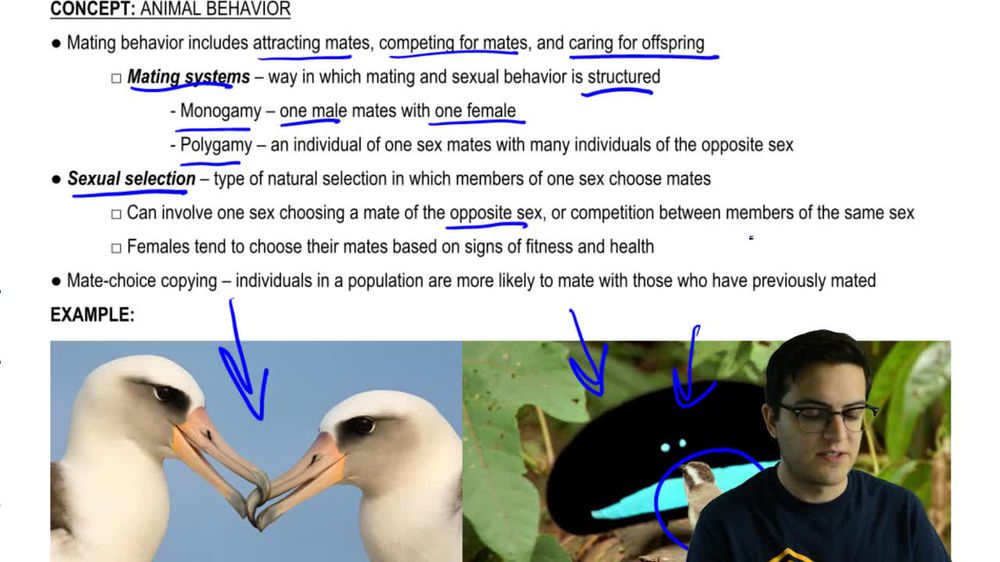 Mating and Parental Care