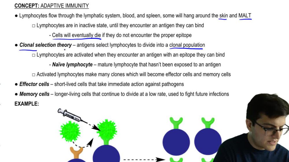 Clonal Selection Theory