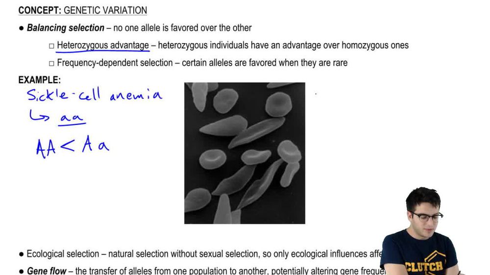 Balancing Selection and Gene Flow