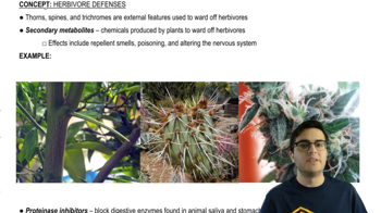 Herbivore Defenses
