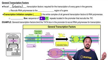 General Transcription Factors
