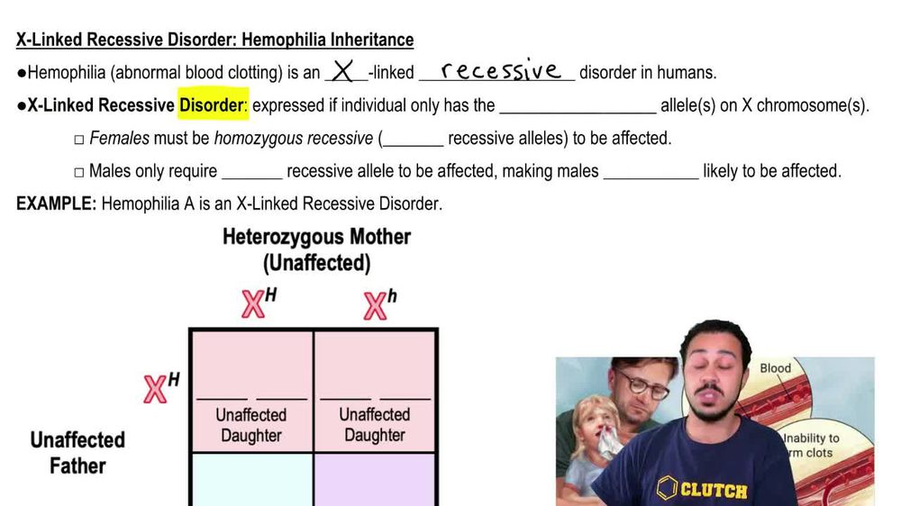 X-Linked Recessive Disorder: Hemophilia Inheritance