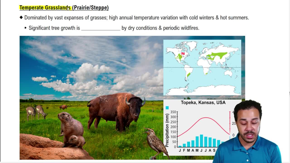 Temperate Grasslands (Prairie/Steppe)