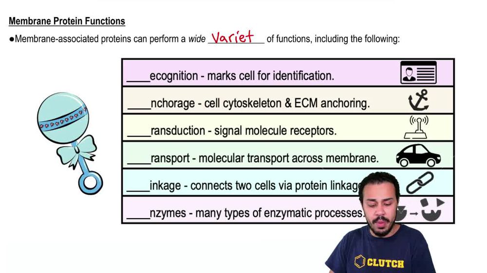 Membrane Protein Functions