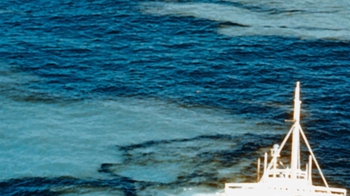 BioFlix: Density Dependent and Density Independent Factors