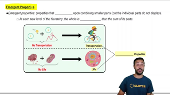 Emergent Properties