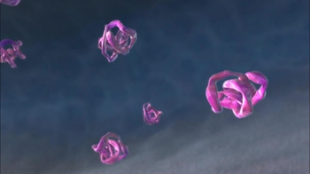 BioFlix: Endomembrane System