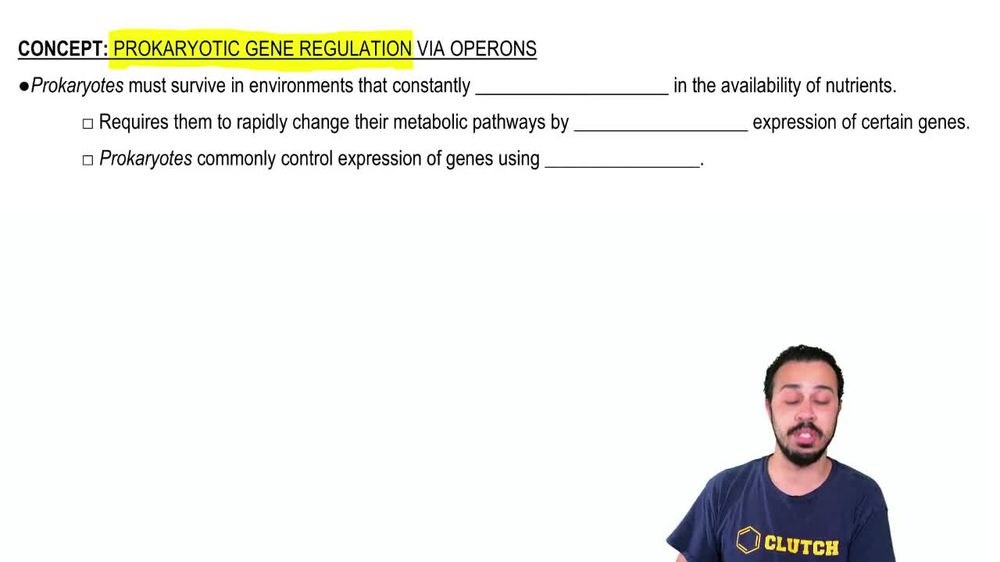 Prokaryotic Gene Regulation via Operons