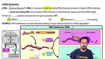 3) RNA Interference