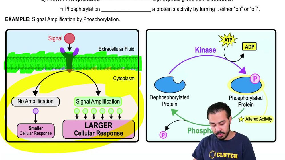 Signal Amplification