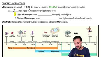Microscopes