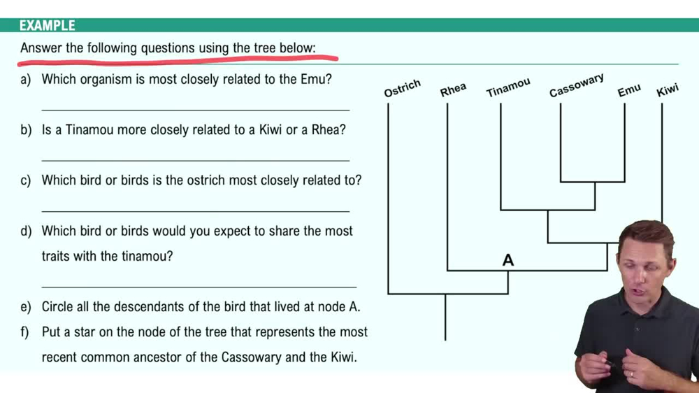 Introduction to Evolution and Natual Selection Example 4