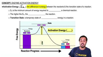 Enzyme Activation Energy