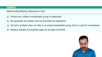 Introduction to Protists Example 1