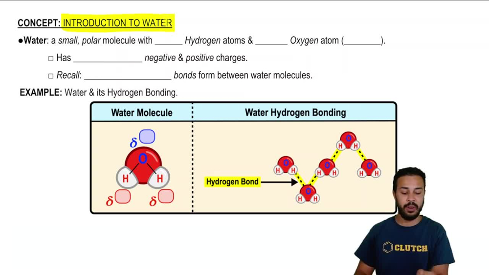 Introduction to Water